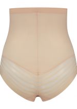 Powermesh High Waist Brief Beige - Back